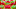 Close-up of Jell-O.
