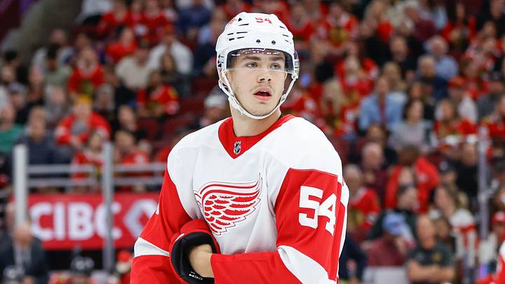 Oct 3, 2023; Chicago, Illinois, USA; Detroit Red Wings defenseman William Wallinder (54) looks on during the first period of a preseason hockey game against the Chicago Blackhawks at United Center. Mandatory Credit: Kamil Krzaczynski-USA TODAY Sports