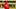 St. Louis Cardinals third baseman Nolan Gorman St. Louis Cardinals third baseman Nolan Gorman