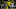 Oregon inside linebacker Keith Brown celebrates after taking down Eastern Washington's quarterback. Oregon inside linebacker Keith Brown celebrates after taking down Eastern Washington's quarterback.