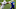 Malik Hamm, Baltimore Ravens Malik Hamm, Baltimore Ravens
