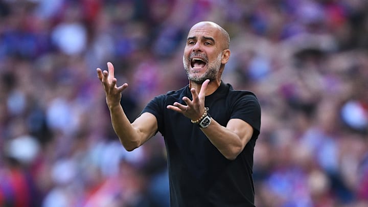 Crystal Palace v Manchester City - Emirates FA Cup Final