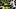 oregon ducks running back jordon davison autzen stadium portland state vikings big ten college football dierre hill jr. oregon ducks running back jordon davison autzen stadium portland state vikings big ten college football dierre hill jr.