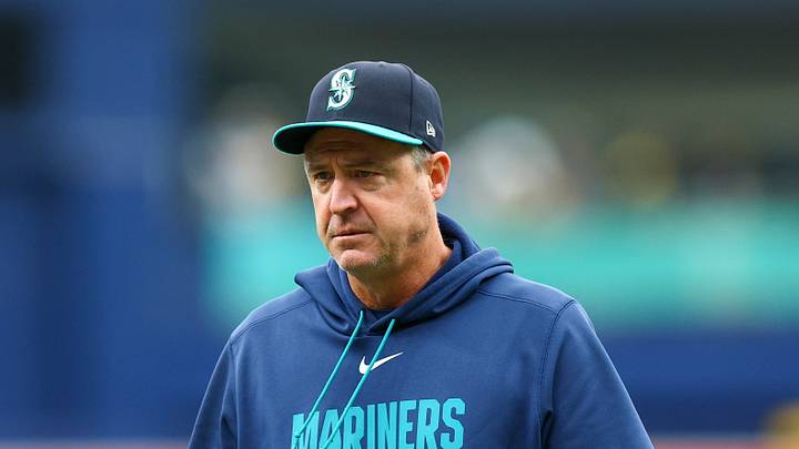 Jul 12, 2026; St. Petersburg, Florida, USA; Seattle Mariners manager Dan Wilson (6) looks on against the Tampa Bay Rays in the first inning at Tropicana Field. Mandatory Credit: Nathan Ray Seebeck-Imagn Images Jul 12, 2026; St. Petersburg, Florida, USA; Seattle Mariners manager Dan Wilson (6) looks on against the Tampa Bay Rays in the first inning at Tropicana Field. Mandatory Credit: Nathan Ray Seebeck-Imagn Images