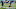 Chicago Bears, Jayden Reed Chicago Bears, Jayden Reed