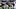 Saints quarterback Zach Wilso Saints quarterback Zach Wilso