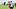 New England Patriots tight end Tanner Arkin New England Patriots tight end Tanner Arkin