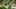 Oregon quarterback Dylan Raiola throws out a pass as the Oregon Ducks host the Portland State Vikings on Sept. 18, 2026, at A Oregon quarterback Dylan Raiola throws out a pass as the Oregon Ducks host the Portland State Vikings on Sept. 18, 2026, at A