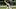 Arizona Diamondbacks pitcher Jonathan Loaisiga Arizona Diamondbacks pitcher Jonathan Loaisiga