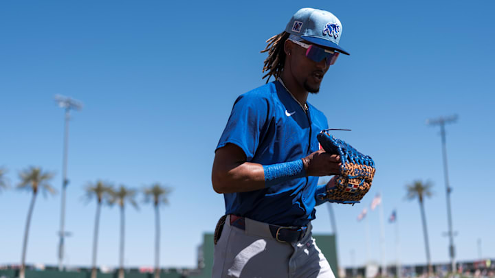 Chicago Cubs Spring Training