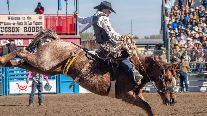 Wyatt Casper