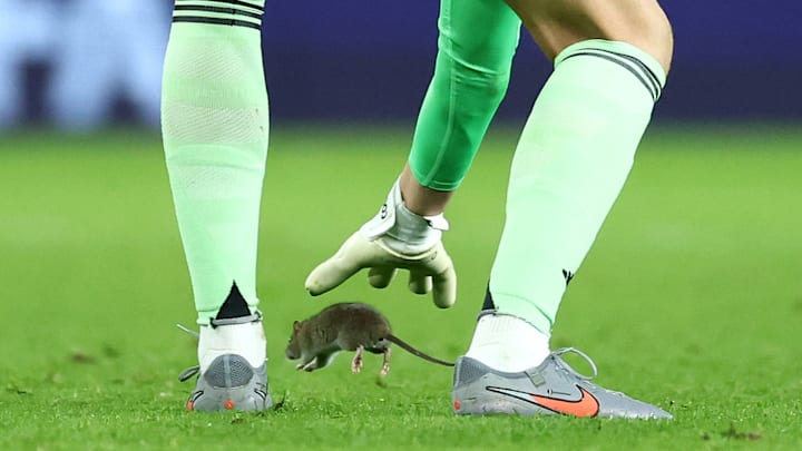 Belgium’s qualifier against Wales had to be suspended due to a rodent streaker.
