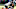 Chicago Bears, Javon Hargrave Chicago Bears, Javon Hargrave