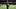 Saints TE Juwan Johnson