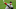 Ryan Brasier Ryan Brasier
