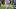 Arizona Cardinals running back Tyler Allgeier Arizona Cardinals running back Tyler Allgeier