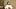 Mary Todd Lincoln Mary Todd Lincoln