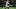 Hanshin Tigers right fielder Teruaki Sato Hanshin Tigers right fielder Teruaki Sato