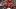 St. Louis Cardinals left fielder Lars Nootbaar