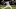 Adam Ottavino, SF Giants Adam Ottavino, SF Giants
