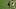 FBL-EUR-C1-PSG-ARSENAL-FINAL