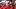 UH head coach Willie Fritz UH head coach Willie Fritz