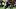 Cleveland Browns wide receiver KC Concepcion fantasy football