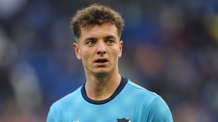 Fisnik Asllani im Shirt der TSG Hoffenheim