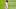 New York Yankees right fielder Aaron Judge New York Yankees right fielder Aaron Judge