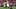 Oct 9, 2026; Louisville, Kentucky, USA; Florida State Seminoles quarterback Ashton Daniels (14) celebrates after scoring a t Oct 9, 2026; Louisville, Kentucky, USA; Florida State Seminoles quarterback Ashton Daniels (14) celebrates after scoring a t
