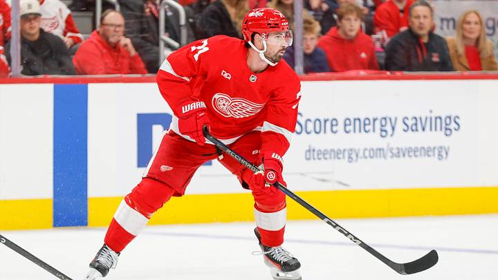 Detroit Red Wings center Dylan Larkin Credit: Brian Bradshaw Sevald-Imagn Images