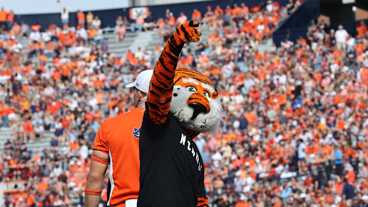 Jordan-Hare Stadium, home of the Auburn Tigers (and Aubie) is set to undergo renovations and improvements.