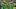 oregon ducks football uniform combination reveal nike zach grisham dan lanning portland state vikings autzen stadium jersey oregon ducks football uniform combination reveal nike zach grisham dan lanning portland state vikings autzen stadium jersey