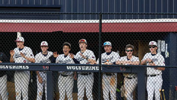 Georgia high school baseball state playoffs