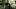 Liev Schreiber and Zazie Beetz in Nocturne Liev Schreiber and Zazie Beetz in Nocturne