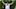 NY Jets NY Jets
