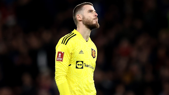 David De Gea David De Gea