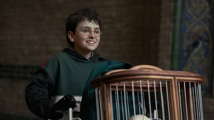 Dominic McLaughlin (Harry Potter) in Harry Potter and the Philosopher's Stone. 