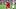 college football rumors