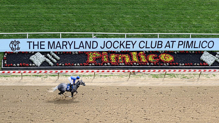 150th Preakness Stakes - Previews