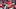 Patrick Mahomes Patrick Mahomes