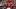 St. Louis Cardinals left fielder Lars Nootbaar