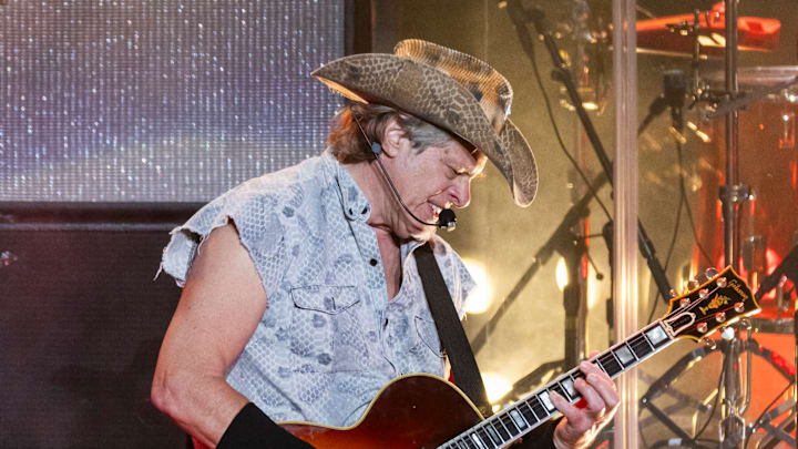 Ted Nugent In Concert