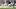 Texas A&M Aggies defensive lineman Damontre Moore