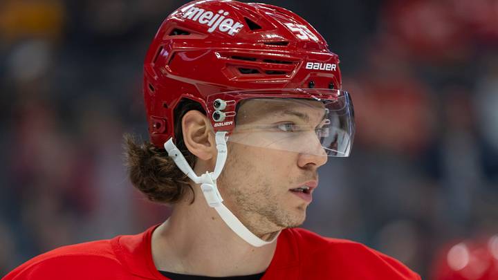 Oct 17, 2026; Detroit, Michigan, USA;  Detroit Red Wings defenseman Moritz Seider (53) looks on during the first period against the San Jose Sharks at Little Caesars Arena.  Mandatory Credit: Brian Bradshaw Sevald-Imagn Images