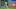 Chicago Cubs left fielder Ian Happ Chicago Cubs left fielder Ian Happ