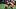 Red Murdock Red Murdock