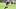 New England Patriots linebacker K.J. Britt New England Patriots linebacker K.J. Britt