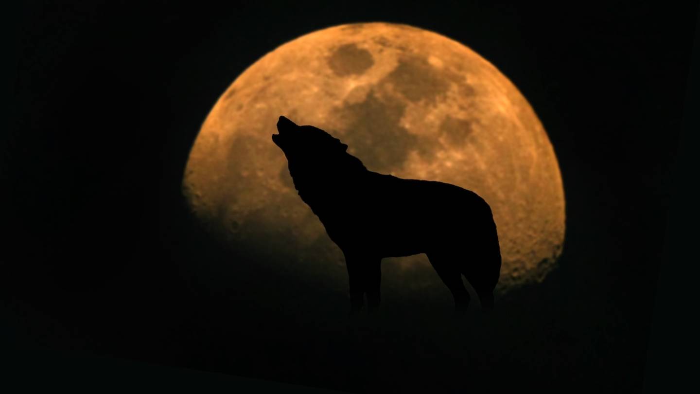 The Spiritual Meaning of the Hunter's Moon