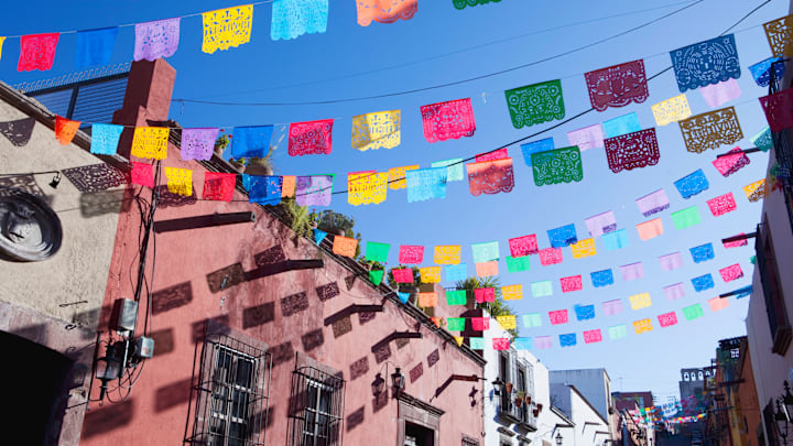 It's a real fiesta of colors. 